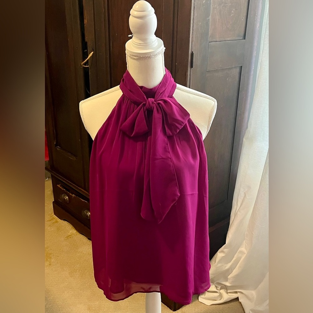 Express Plum Halter Top